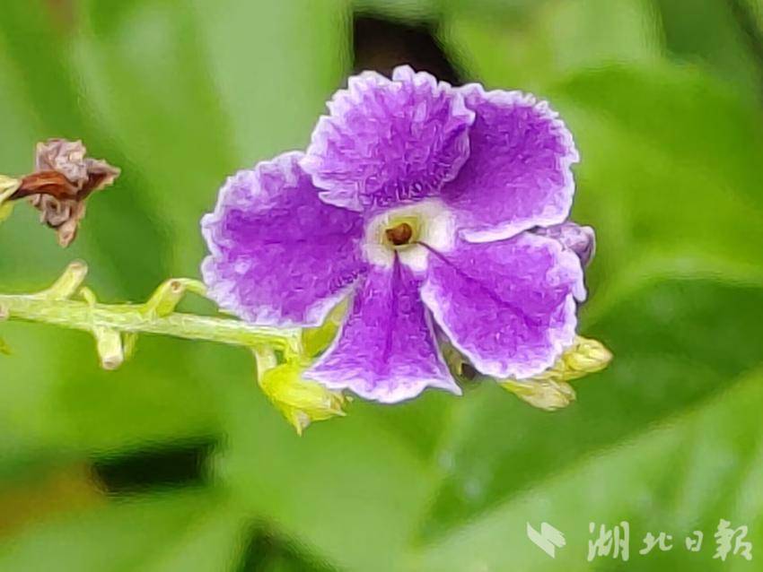 新云顶红包城代理